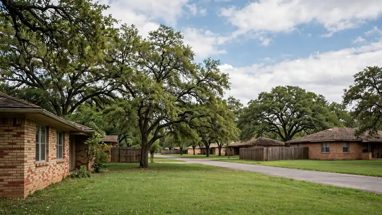 1960s brick homes with mature oaks and wide lawns